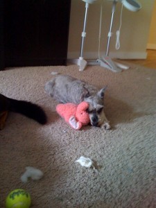 ennui Bear and I being bored