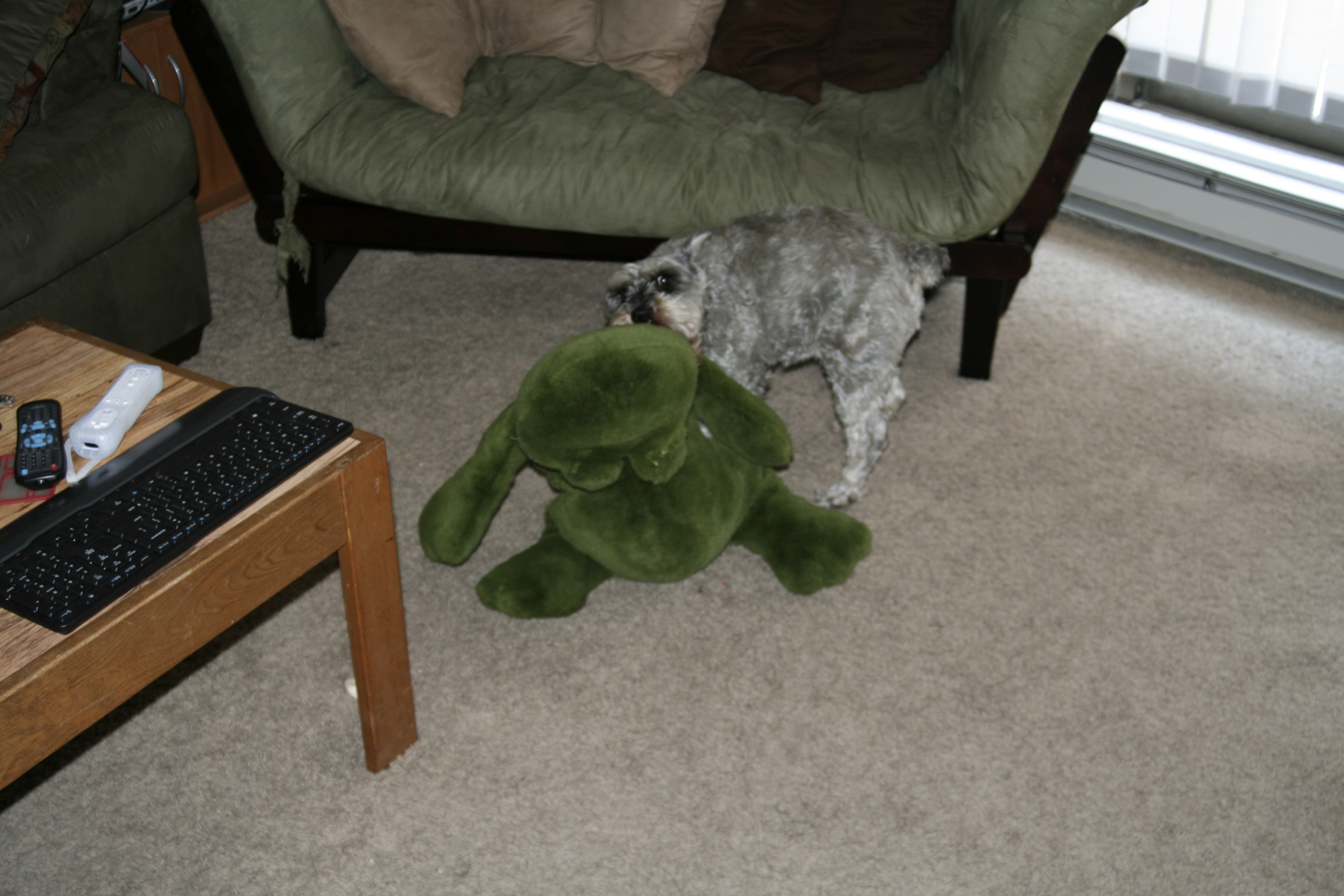 My back arched in excited as I show him how much I missed him by carrying Frog around.