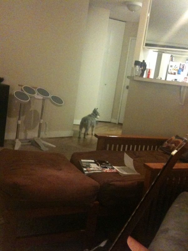 Still waiting. Approx. 10:45 PM on Thursday