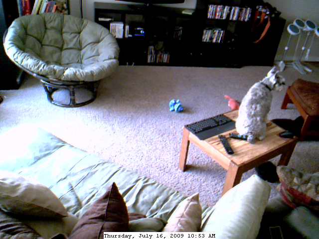 Yep, I am just going to sit here till they come home.