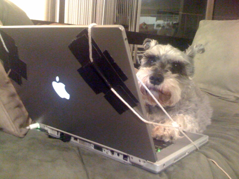 A beatup PowerBook G4. My outlet to the world