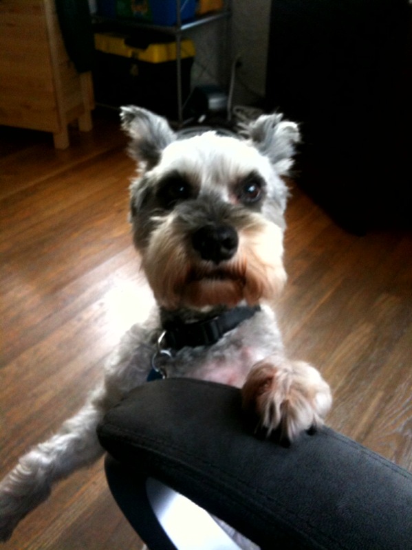 ruffpic_OhHi Ruffles - Hi there