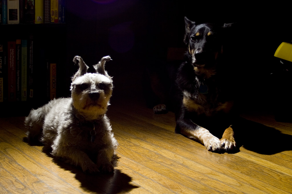 TRR_Shadow2_MG_7778 Ruffles and Luke Shadow Posing
